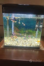 Acquario AMTRA 40 Led