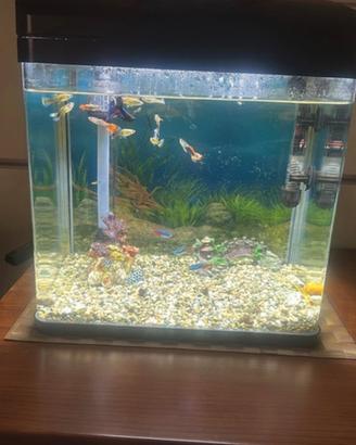 Acquario AMTRA 40 Led
