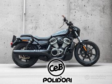 HARLEY DAVIDSON NIGHTSTER 975 SPECIAL - ANNO:02/20