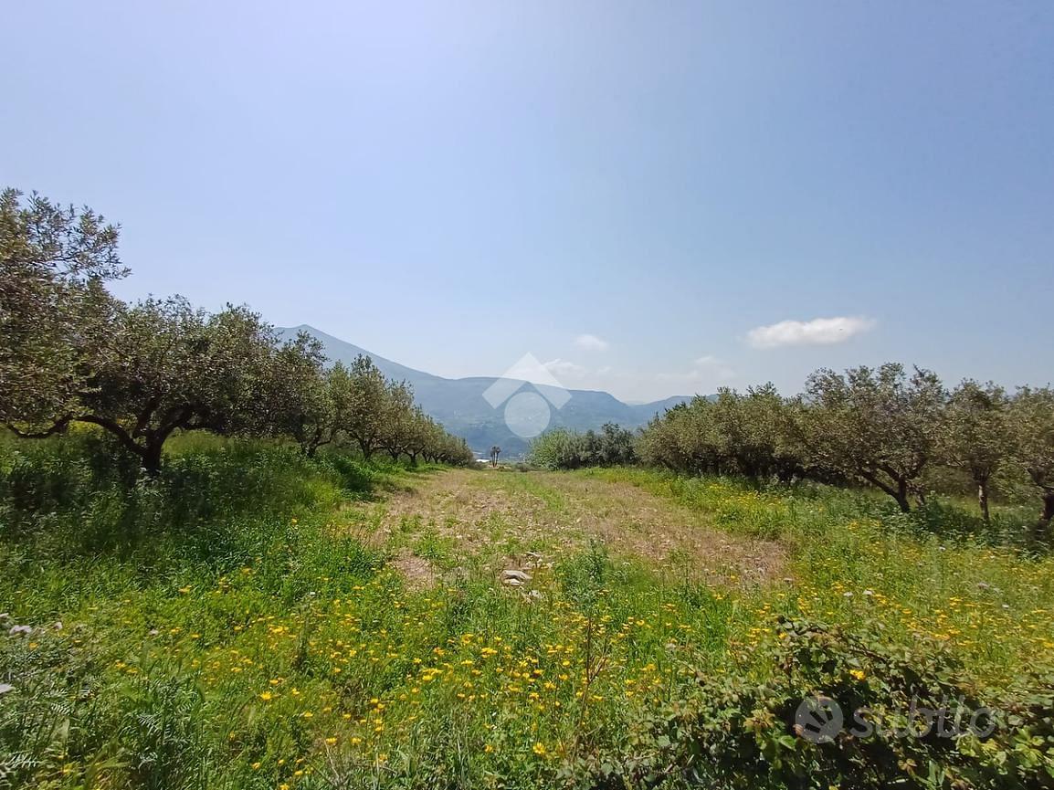 TER. AGRICOLO A CASTELLAMMARE DEL GOLFO - Vista 4
