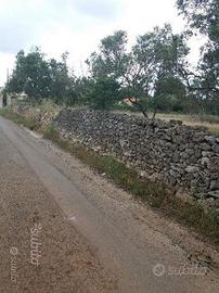 Terreno edificabile località CORILLO