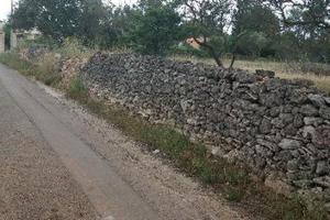 Terreno edificabile località CORILLO