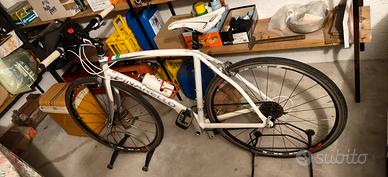 city bike pinarello