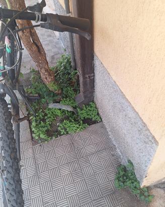 Bicicletta