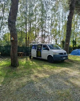 Volkswagen t5 4motion 