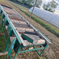 Calibratrice per frutta