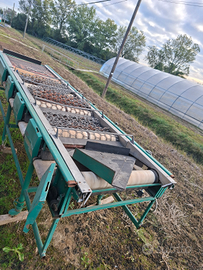 Calibratrice per frutta