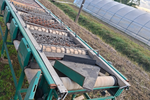 Calibratrice per frutta