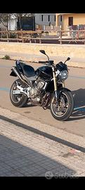 Honda Hornet 600 2006