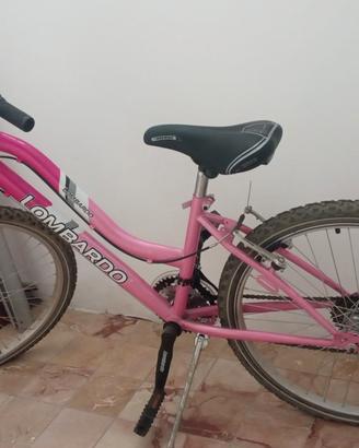 bicicletta LOMBARDO