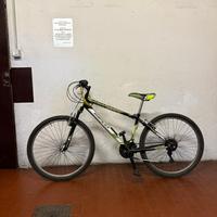 Bici ragazzo