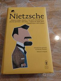 Raccolta libri Nietzsche