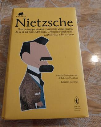 Raccolta libri Nietzsche