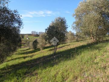 TER. RESIDENZIALE A GROSSETO