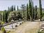 Immagine 12