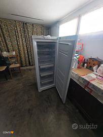 Indesit INDESIT CONGELATORE UIAA 10.1
