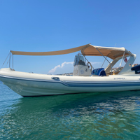 Stingher 606 xs