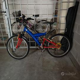 bicicletta 