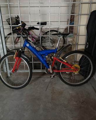 bicicletta 