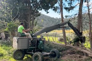 Escavatore Dalla bona