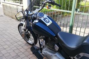 SOFTAIL STANDARD. 1.PROPRIETARIO