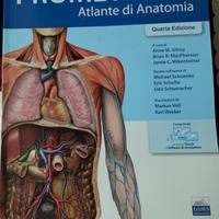 atlante di anatomia prometheus edises quarta ed.