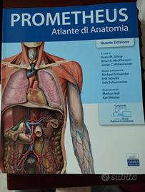 atlante di anatomia prometheus edises quarta ed.