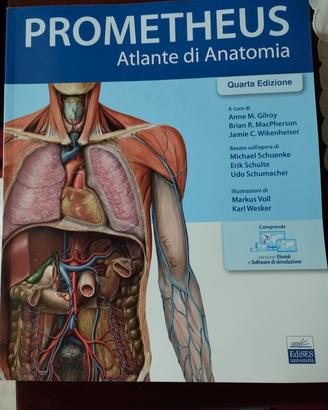 atlante di anatomia prometheus edises quarta ed.