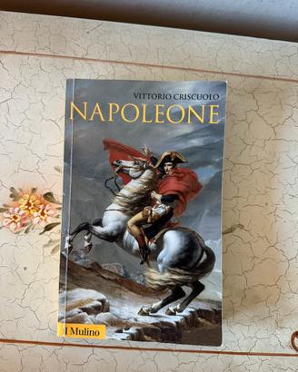 Napoleone (Vittorio Criscuolo)
