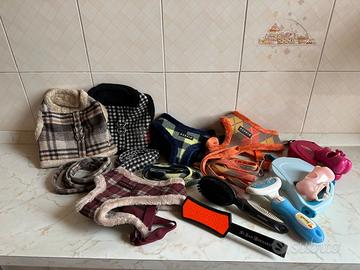 Pettorine, guinzagli e spazzole