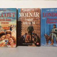 Libri di avventura per ragazzi