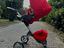 Immagine 2