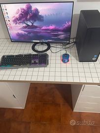 Monitor e pc con mouse e tastiera