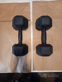 Manubri da 12,5 kg