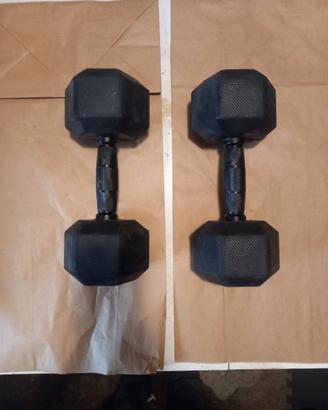 Manubri da 12,5 kg