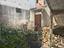 Immagine 20