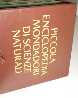 Enciclopedia delle scienze