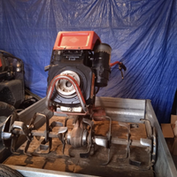 Vendita Motozappa usata