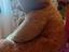 Immagine 3