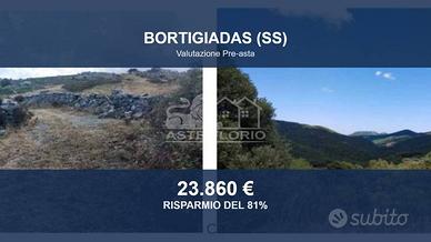 Immobile in asta di 71470 m² a Bortigiadas