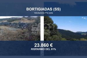 Immobile in asta di 71470 m² a Bortigiadas