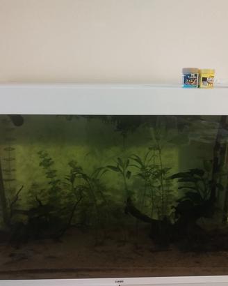 Acquario da 200 litri usato contattatemi