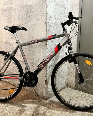 Bicicletta MTB con pneumatici da 26 pollici