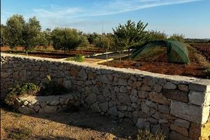 Terreno agricolo zona Sannicola (LE)