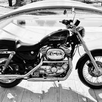 Harley Davidson Sportster 883 XL 1 del 1999