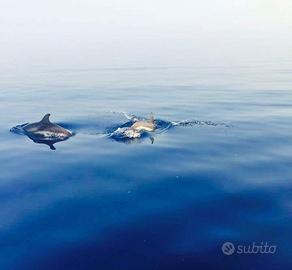 Casa vacanze pianoterra 50m dal mare spazio estern