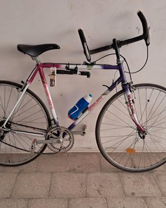 Bici da corsa