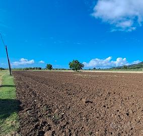 Annesso con terreno Suvereto Livorno