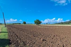 Annesso con terreno Suvereto Livorno