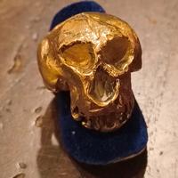Anello vintage in bronzo giallo Teschio 